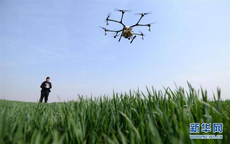 3月19日,河北省邯郸市磁县朝冠村村民遥控植保无人机进行喷药作业.