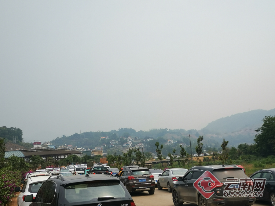 云南镇康县:乡土特色迎客来(组图)