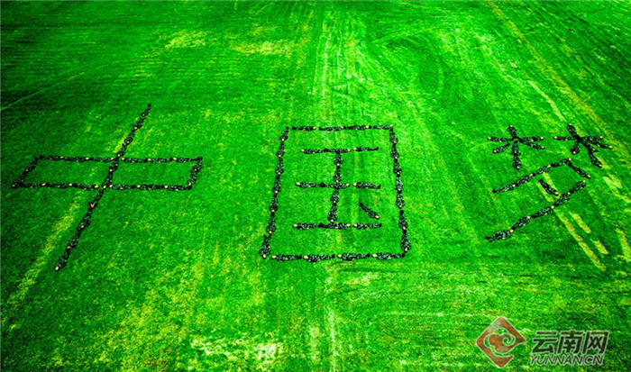 勠力同心实现中国梦,官兵们在草坪上摆出"中国梦"字样表达心中的梦想