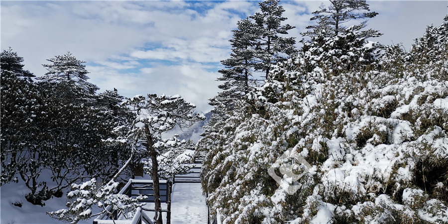 昆明轿子山"上演"唯美雪景大片 赏雪期可持续至正月十五