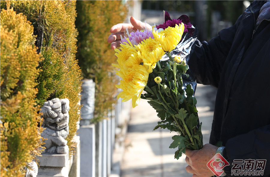 高清组图环保冬至绿色祭扫