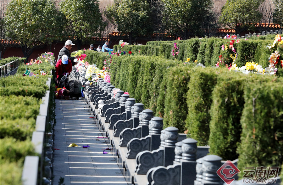 高清组图环保冬至绿色祭扫