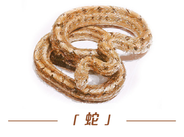 大多含有剧毒野生蛇携带多种体内寄生虫包括舌形虫