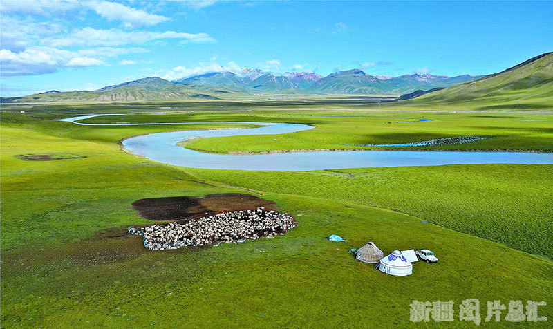 天山守望草原牧歌