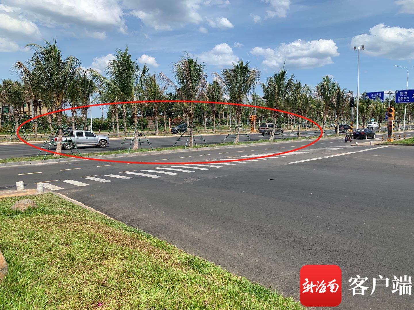 网上督查 | 千呼万唤更"费解"的海口迎宾大道交通设置 市民的"冤枉路"