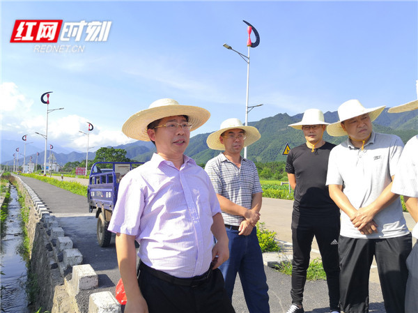 7月13日,江永县委副书记,县长唐德荣对千家峒供港澳蔬菜基地建设进行