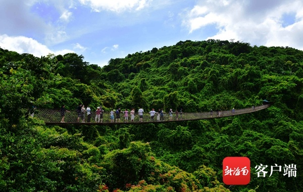 得知該消息的三亞康泰國際旅行社有限公司副總經理魏強,第一時間趕回