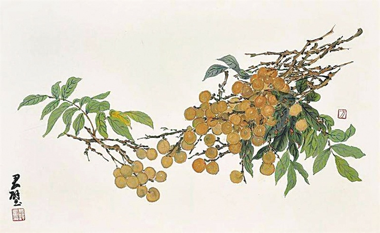 海南周刊 | 琼地珍果赋华章