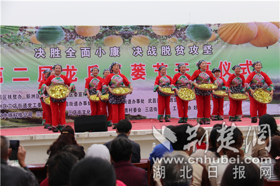 助力精准扶贫武昌新洲两区联办第二届龙丘瓜蒌节