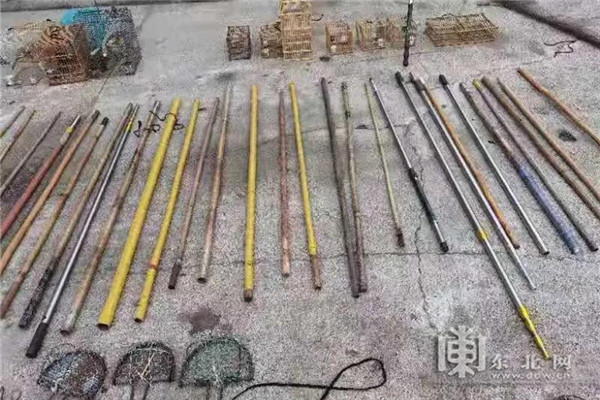 男子使用粘网,夹子,翻笼等捕猎工具,猎捕了200余只野生小鸟食用,结果
