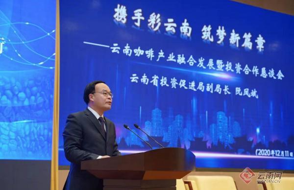 云南咖啡产业融合发展暨投资促进恳谈会在普洱举办