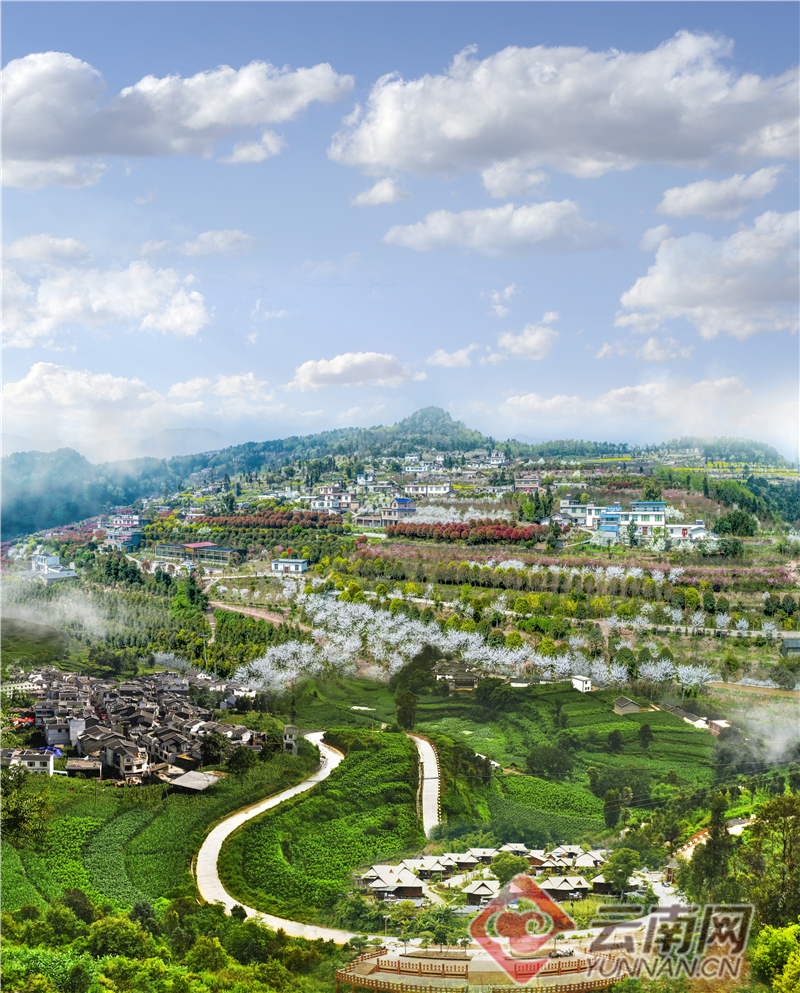 云南网 公益频道 高清大图 正文  昭通市摄影师柴峻峰,历时3至4年