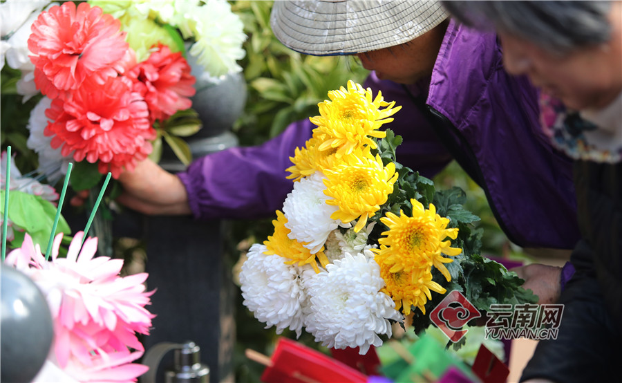 又到冬至扫墓时