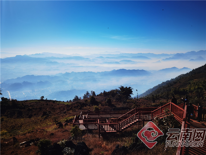 高清组图云南镇康花开边关前哨春天如约来到