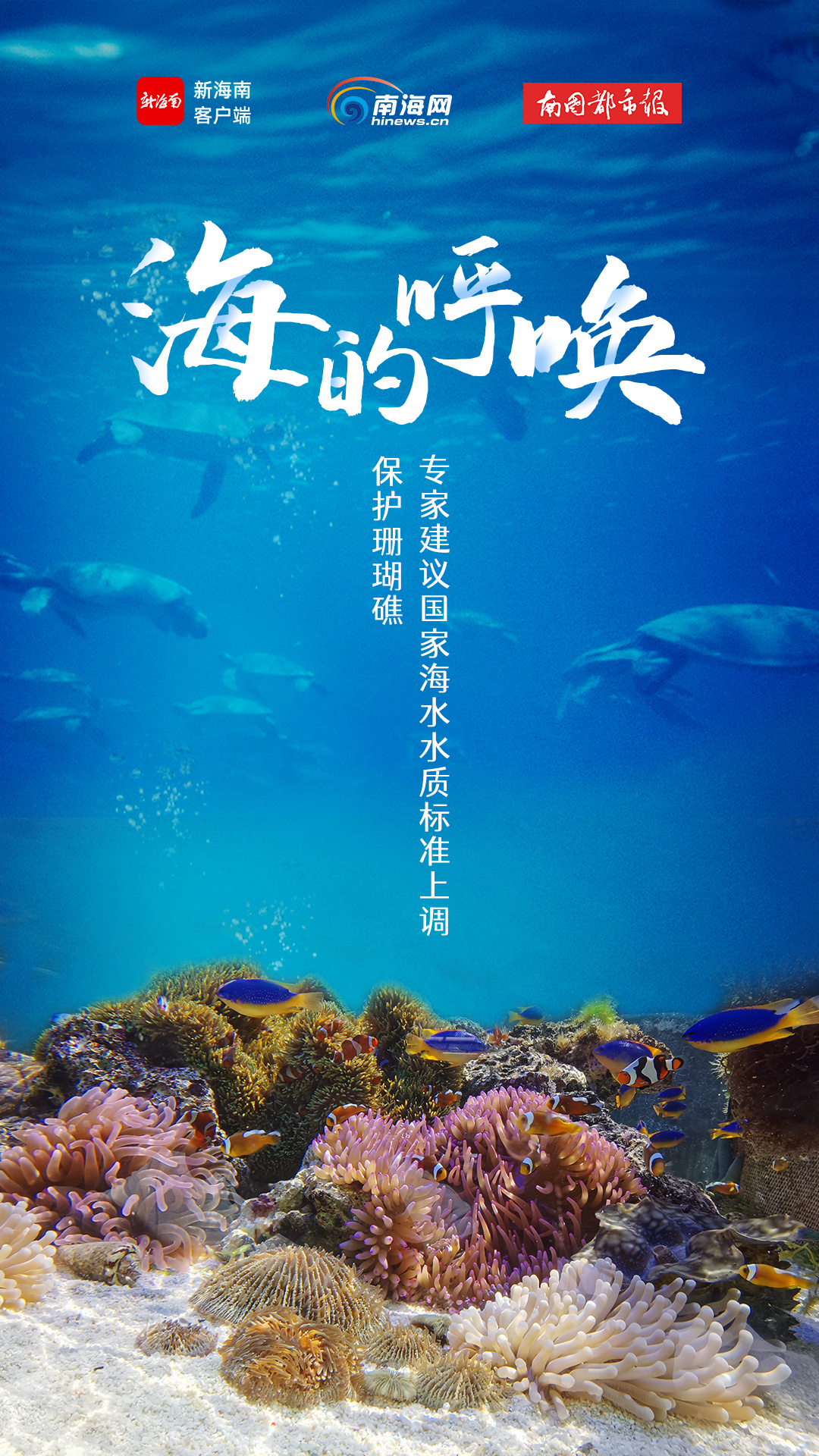 独家策划 | 海的呼唤:保护珊瑚礁,专家建议国家海水水质标准上调
