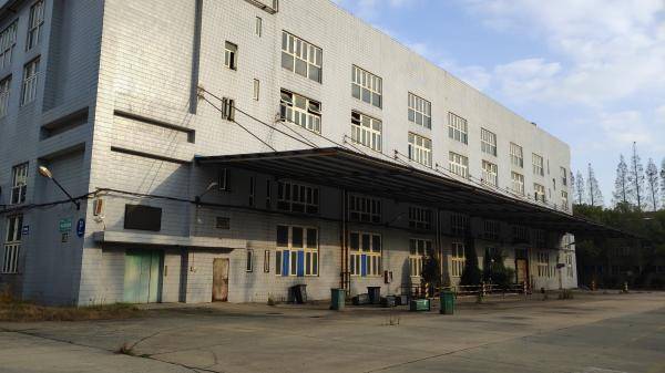 还记得大中华正泰橡胶厂吗?