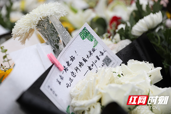 组图丨寄往天国的信袁隆平老先生请查收