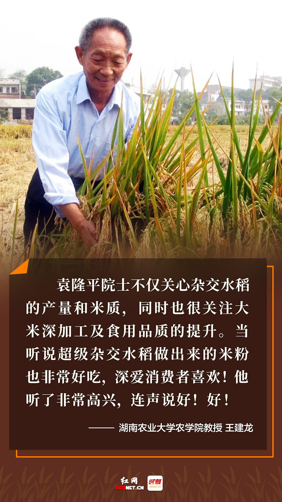 一句话一辈子!一组海报忆袁老