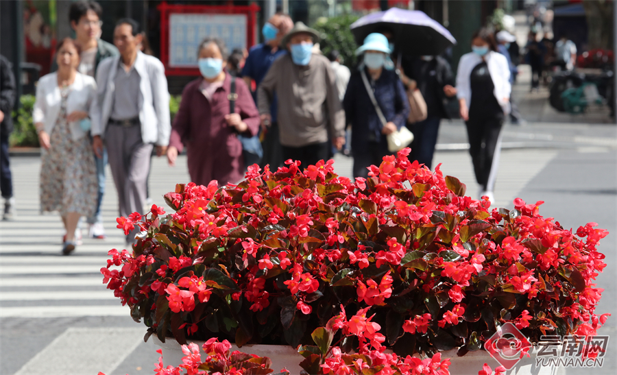 高清组图丨春城昆明迎接建党百年华诞氛围渐浓