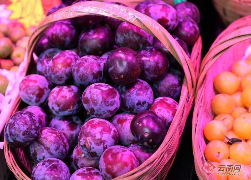 【高清组图】昆明夏天的色彩和味道