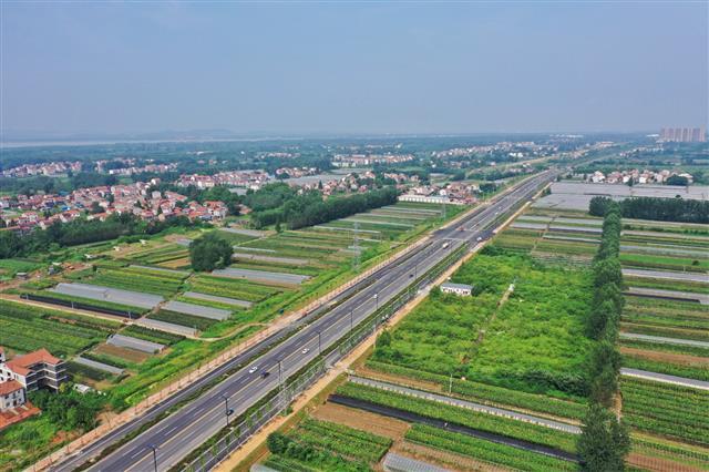 新洲阳大公路通车!武汉东新增一条城市主干道