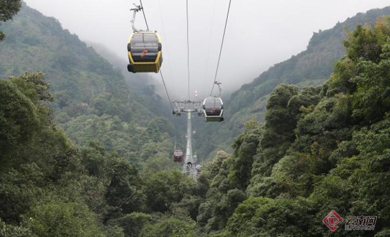 鸡足山观光索道缆车穿行在茂密的原始丛林间.