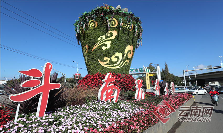 高清组图斗南花卉小镇开启美颜模式斗南花市国庆鲜花游人气爆棚