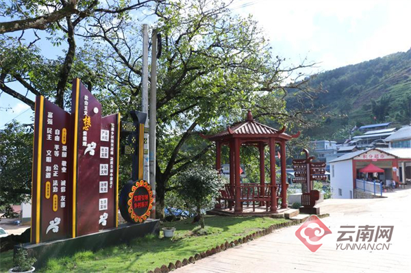 镇康县刺树丫口自然村:红了的村寨 火了的日子_云南看点_社会频道