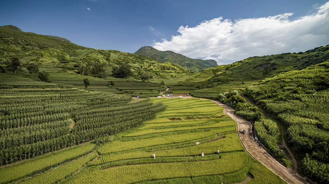 自2019年启动"美丽县城"建设以来,富民县聚焦"特色,产业,生态,干净