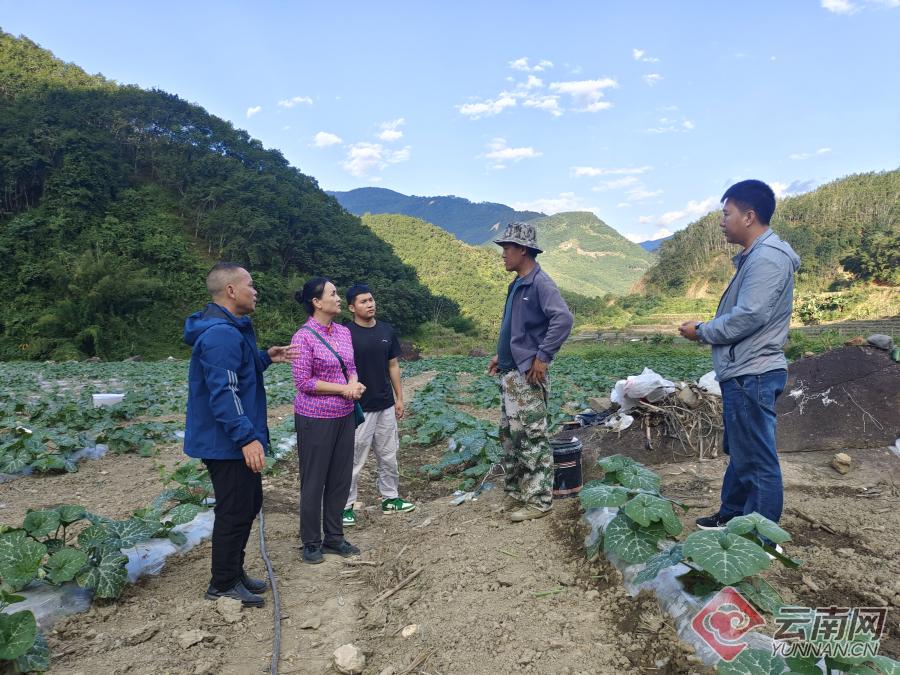 绿春春常绿大黑山镇希望在春天里好日子在路上