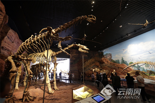 记者 陈飞 摄记者 陈飞 摄1984年7月1日,来自中科院南京地质古生物