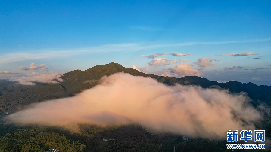 云南龙陵小黑山:云雾缭绕 美若仙境_云南看点_社会频道_云南网