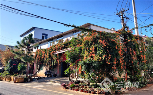 "小网格"推动"大文明" 昆明市呈贡区七步场社区推进爱国卫生专项工作