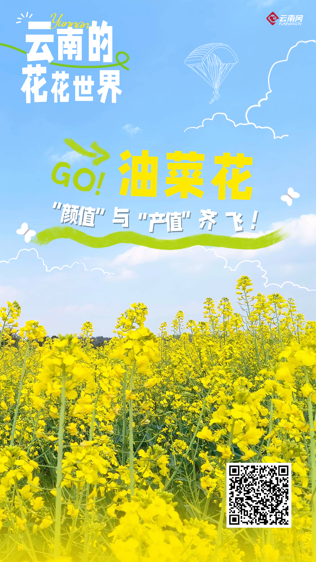 云南的花花世界油菜花颜值与产值齐飞