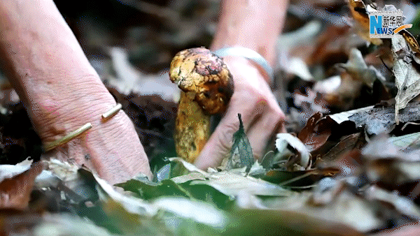 有一种叫云南的生活美好生活在云南丨从心出发描绘多彩答卷