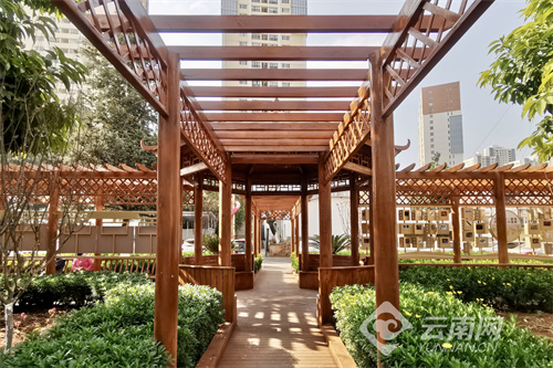 昆明莲华街道学府社区:"三强六共"打造民族团结进步示范单位