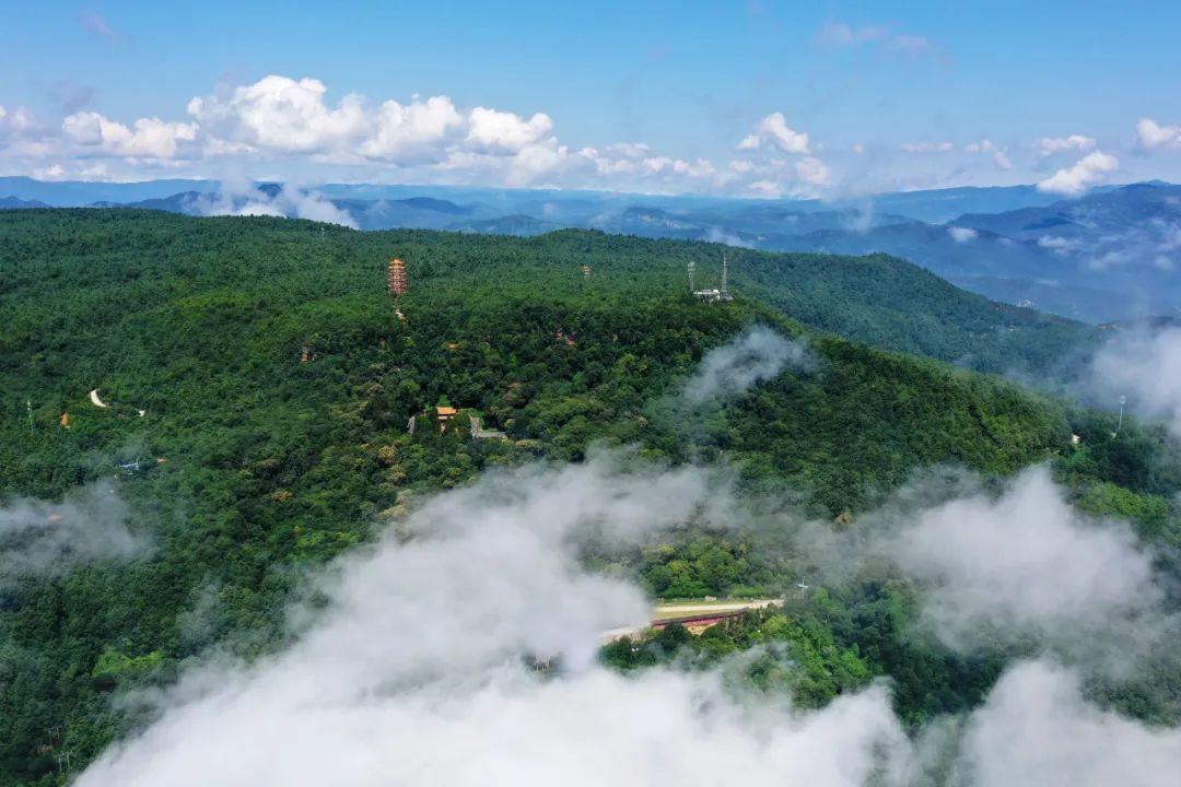 云南武定2024年牡丹文化旅游季系列活动即将启幕邀您共赴春日盛景