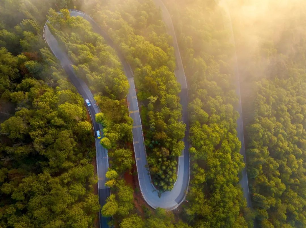 云南武定2024年牡丹文化旅游季系列活动即将启幕邀您共赴春日盛景