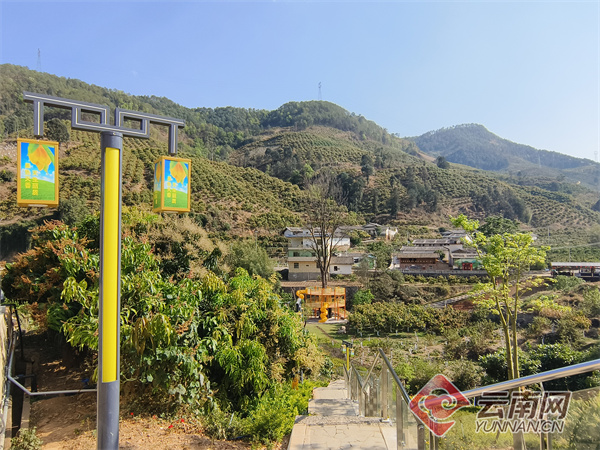 华坪县龙头村黑色经济转绿色经济争做乡村振兴龙头