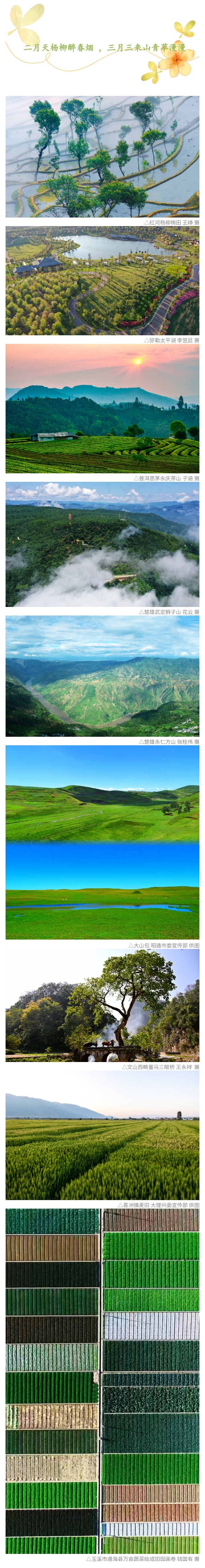 云南看点_社会频道_云南网