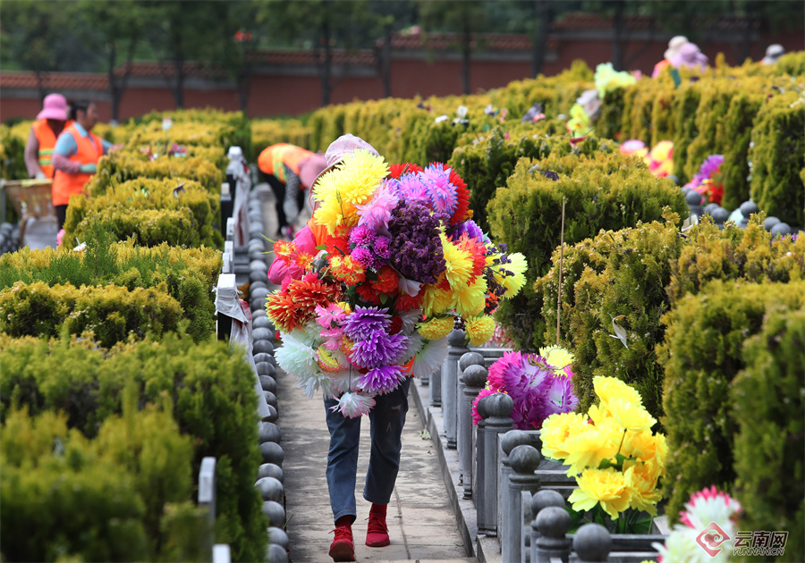 环卫工人在龙凤公墓对塑料花,香烛,纸钱,食物类祭品等进行集中清运,还