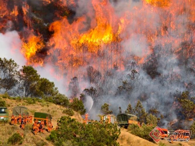 扑灭晋宁山火云南森林消防总队火速转战大理