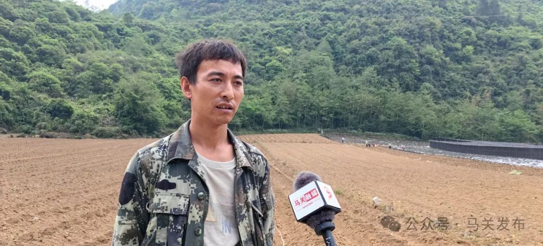 马关发展壮大村集体经济激活乡村振兴内在动力