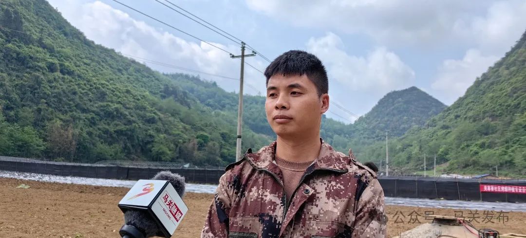 马关发展壮大村集体经济激活乡村振兴内在动力