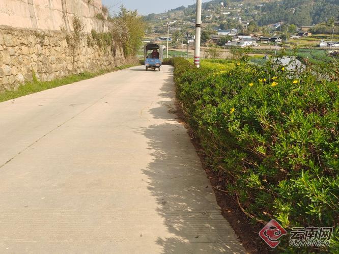 保山施甸县:最美乡村道路大家来呵护_云南看点_社会