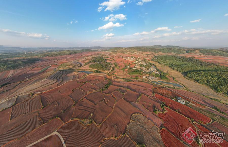 在云南省曲靖市沾益区菱角乡拍摄的红土地