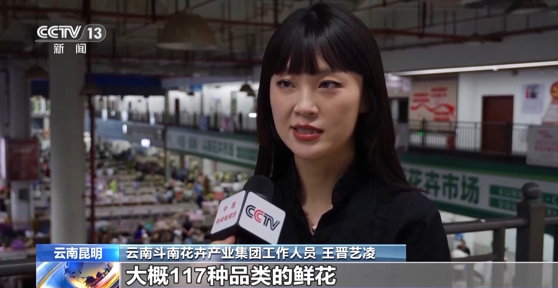 "线上线下"销量翻倍 五月云南鲜花产销双旺