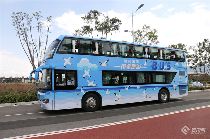 昆明滇池黄金岸线旅游巴士开通运行
