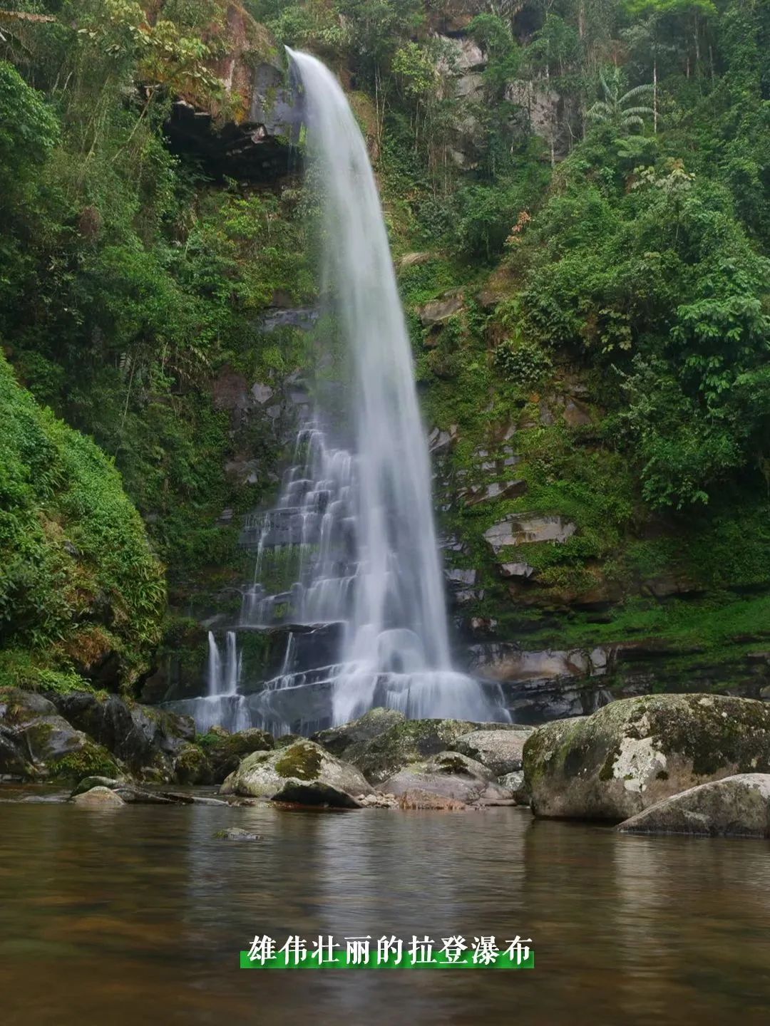 抓紧!还剩半个月!云南这一奇观,世界罕见!