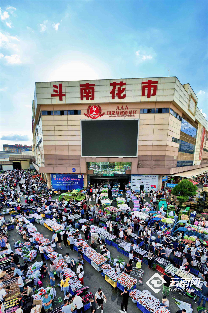【高清组图】昆明斗南花市迎来七夕交易高峰
